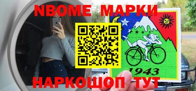 гидра Будённовск