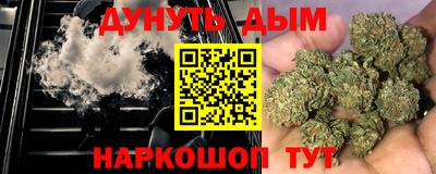 гидра Будённовск