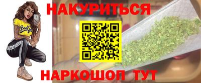 гидра Будённовск