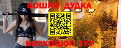 гидра Будённовск