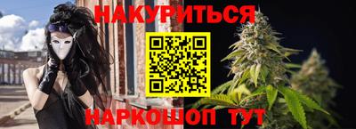 гидра Будённовск