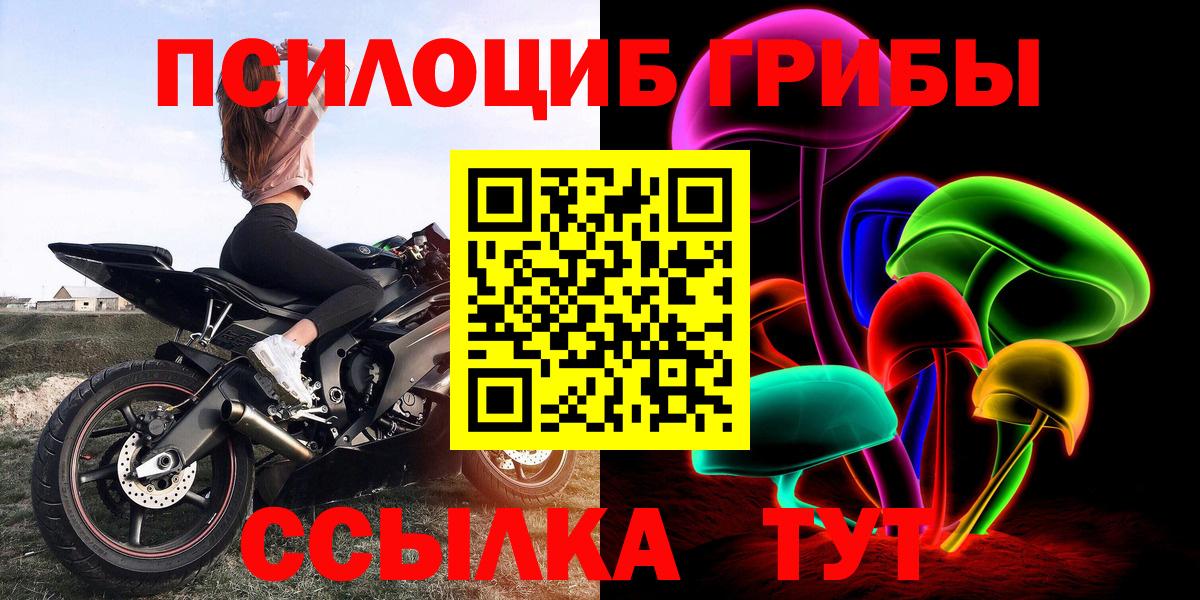 Галлюциногенные грибы прущие грибы Мичуринск