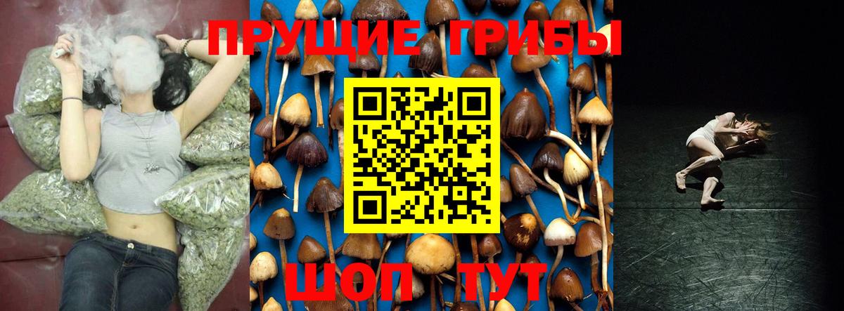 Мичуринск  Галлюциногенные грибы GOLDEN TEACHER  Псилоцибиновые грибы Psilocybine cubensis  Вход с VPN 